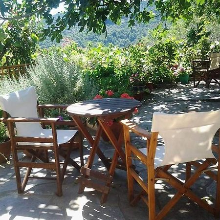 Villa Panayiota Alónnisos 外观 照片