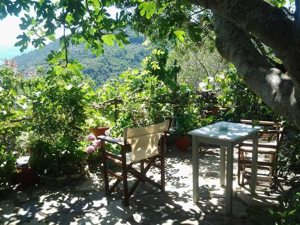 Villa Panayiota Alónnisos 外观 照片