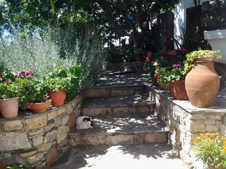 Villa Panayiota Alónnisos 外观 照片