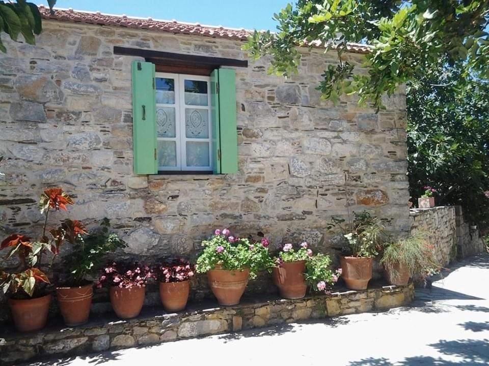 Villa Panayiota Alónnisos 外观 照片