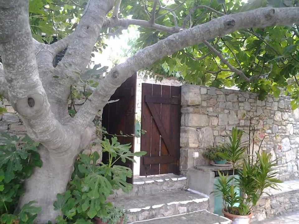 Villa Panayiota Alónnisos 外观 照片