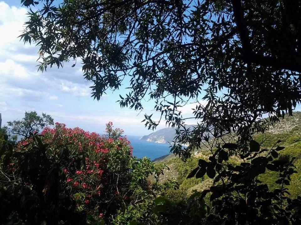 Villa Panayiota Alónnisos 外观 照片