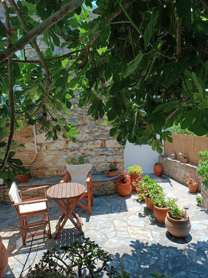 Villa Panayiota Alónnisos 外观 照片